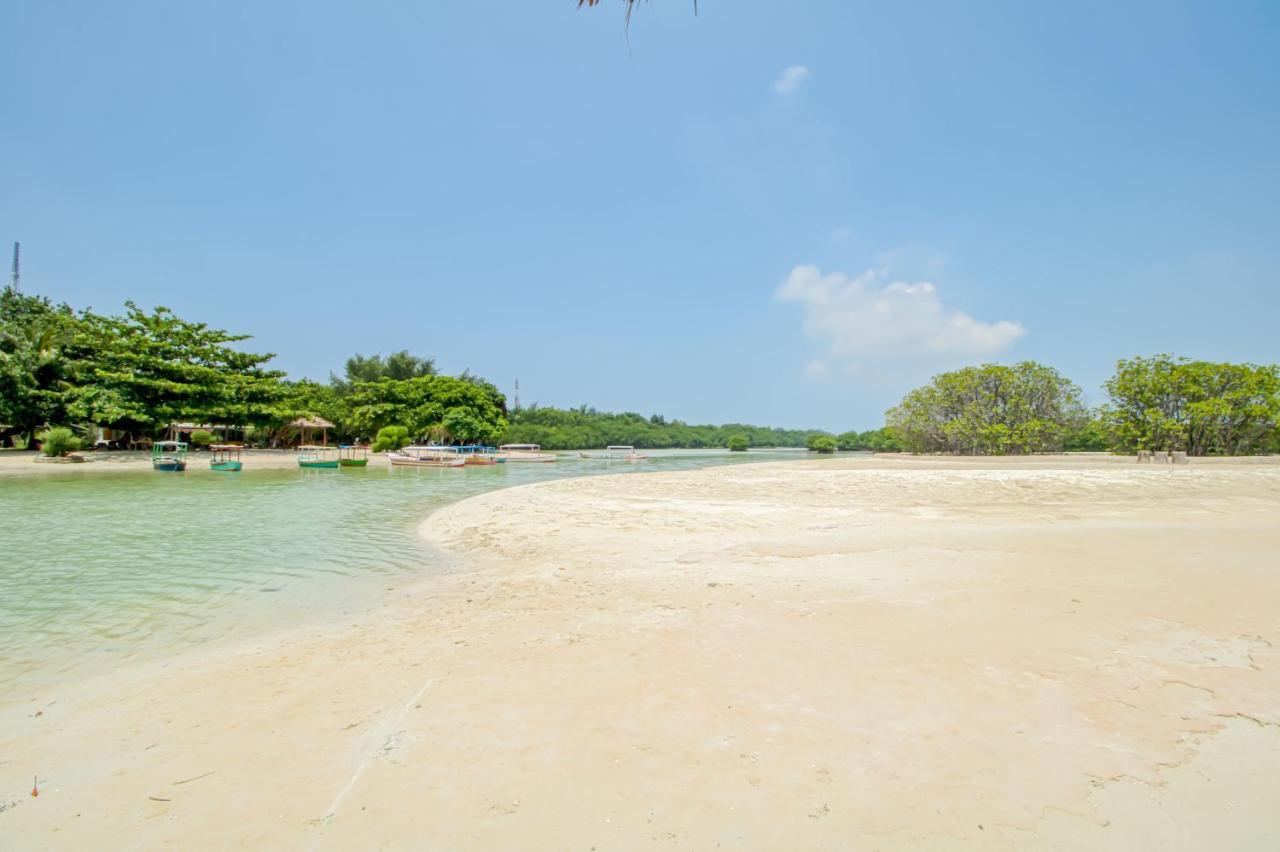 Guerilla Dive Lodge Pulau Pari Jakarta Eksteriør billede