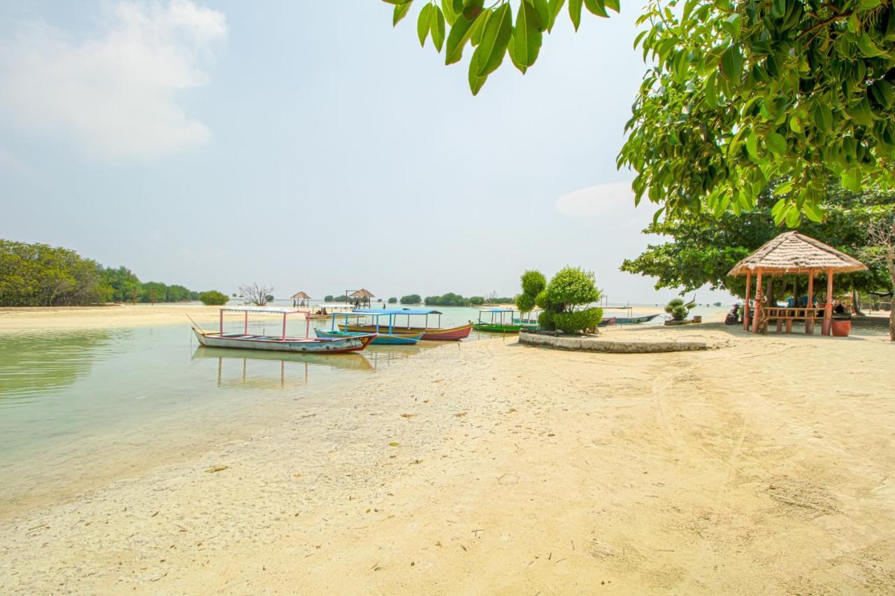 Guerilla Dive Lodge Pulau Pari Jakarta Eksteriør billede