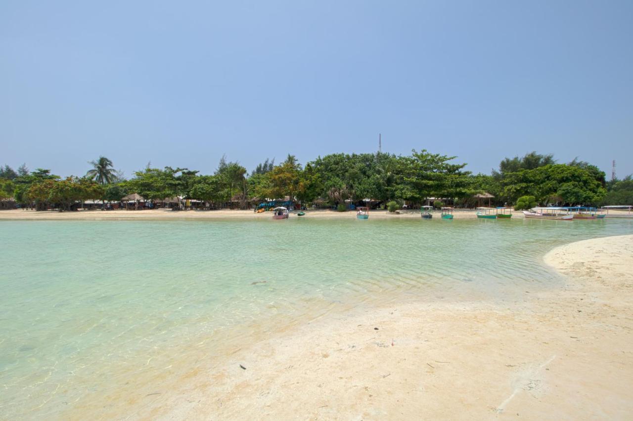 Guerilla Dive Lodge Pulau Pari Jakarta Eksteriør billede